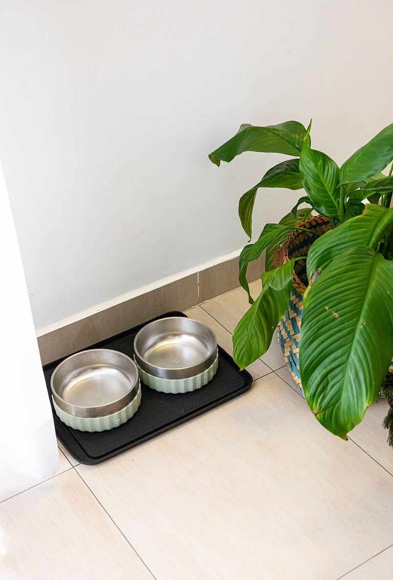 Experiência ARK - Elegância e conforto Vista-Mar